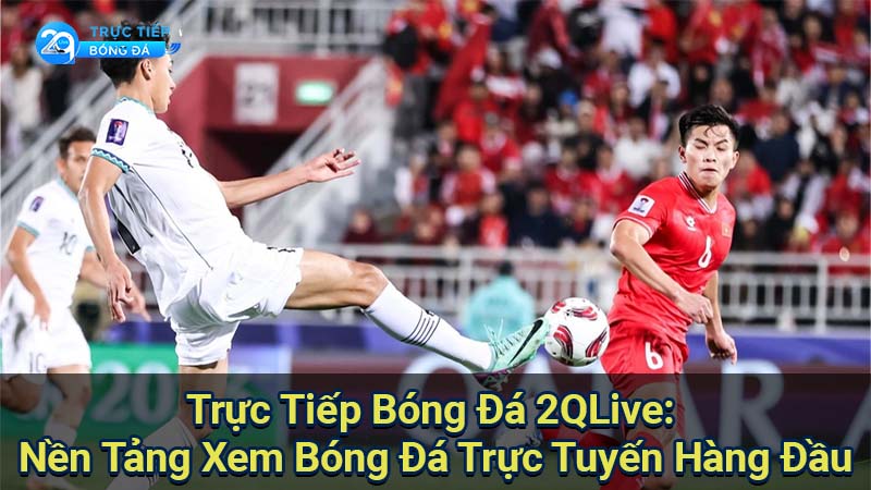 Trực Tiếp Bóng Đá 2QLive: Nền Tảng Xem Bóng Đá Trực Tuyến Hàng Đầu